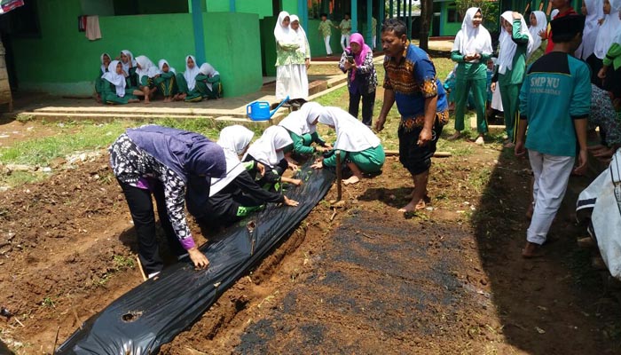 SMP NU Karangdadap