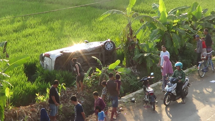 Minibus Terjun ke Sawah