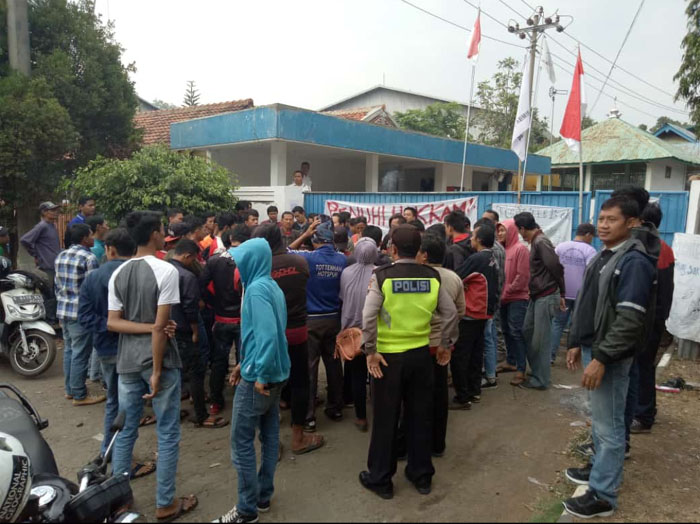 Demo Perusahaan