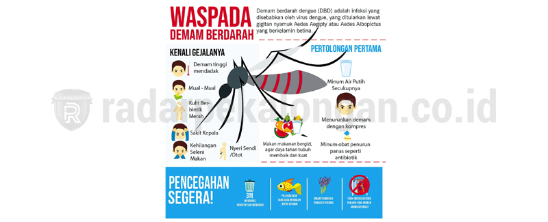 Bocah Penderita Dbd Tewas Radar Pekalongan Online