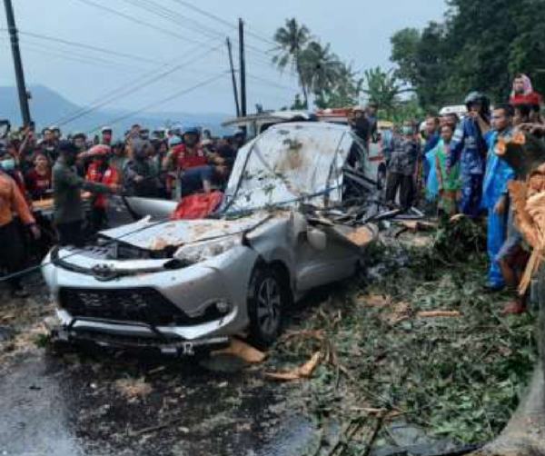 Mobil Rombongan Tertimpa Pohon Di Randudongkal, 4 Penumpang Tewas Seketika – Radar Pekalongan Online
